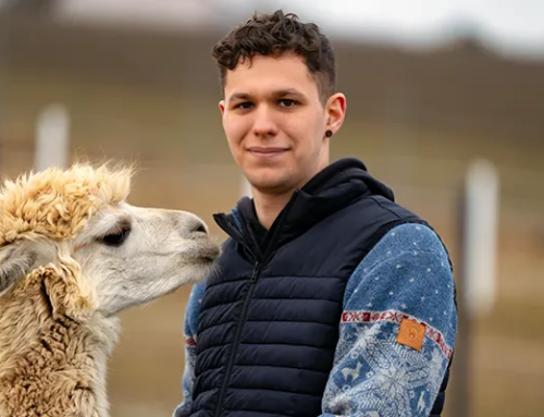 Lukas Bernhart: Zu Besuch auf der Lama- und Alpakaranch