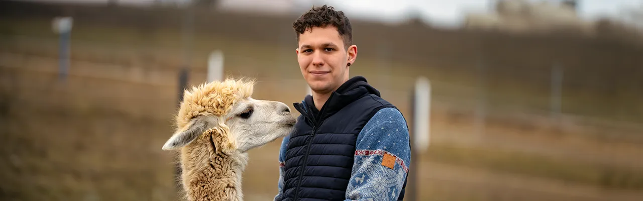 Lukas Bernhart mit einem Alpaka auf der Lama- und Alpakaranch Bernhart. Das Alpaka sieht ihm direkt in die Augen.